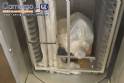 Forno rotativo a gás Marcepan