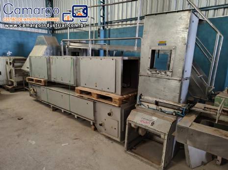 Transportador elevador de canecas em Z WIESE